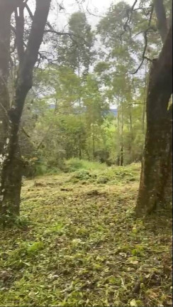 Imagem Terreno à Venda, 2 m² em Governador Celso Ramos Imagem Terreno à Venda, 2 m² em Governador Celso Ramos