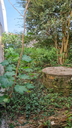 Imagem Terreno à Venda, 378 m² em Iguaçu - Fazenda Rio Grande