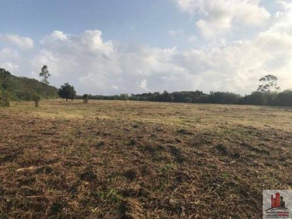 Imagem Terreno à Venda, 50.000 m² em Aldeia Dos Camarás - Camaragibe