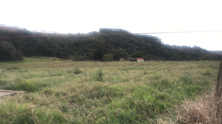 Imagem Fazenda à Venda, 59 m² em Rural - São Miguel Arcanjo Imagem Fazenda à Venda, 59 m² em Rural - São Miguel Arcanjo