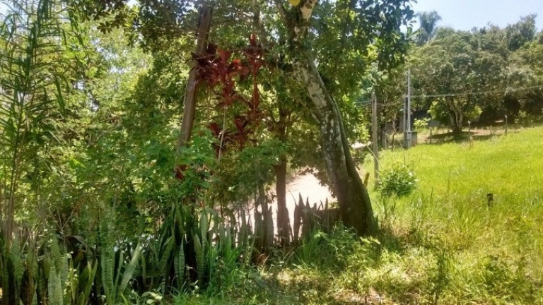 Imagem Chácara com 2 Quartos à Venda, 1.000 m² em Chacara Santa Maria - Jacareí