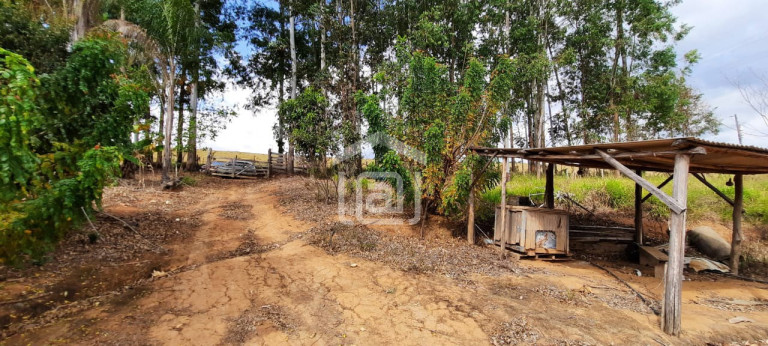 Imagem Imóvel com 2 Quartos à Venda, 2 m² em Faxinal - Botelhos Imagem Imóvel com 2 Quartos à Venda, 2 m² em Faxinal - Botelhos
