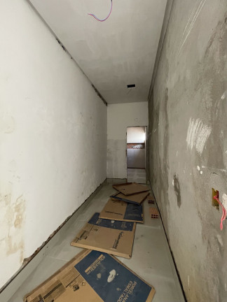 Imagem Casa com 3 Quartos à Venda, 166 m² em Residencial Parque Das Palmeiras - Goianésia