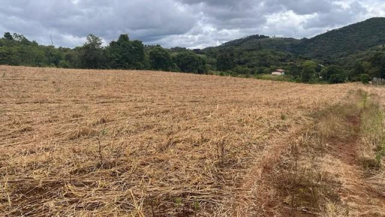 Imagem Imóvel à Venda, 96.800 m² em Meia Lua Dos Freita - Campo Magro Imagem Imóvel à Venda, 96.800 m² em Meia Lua Dos Freita - Campo Magro