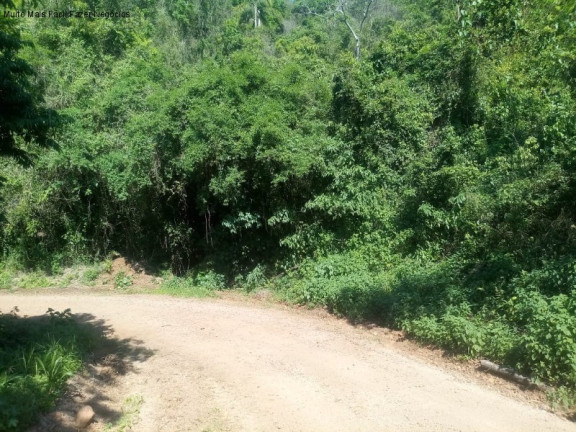 Imagem Terreno à Venda, 2 m² em Linha Temerária - Nova Petrópolis