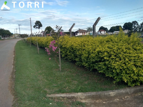 Imagem Imóvel com 3 Quartos à Venda, 350 m² em Cercado - Araçoiaba Da Serra Imagem Imóvel com 3 Quartos à Venda, 350 m² em Cercado - Araçoiaba Da Serra