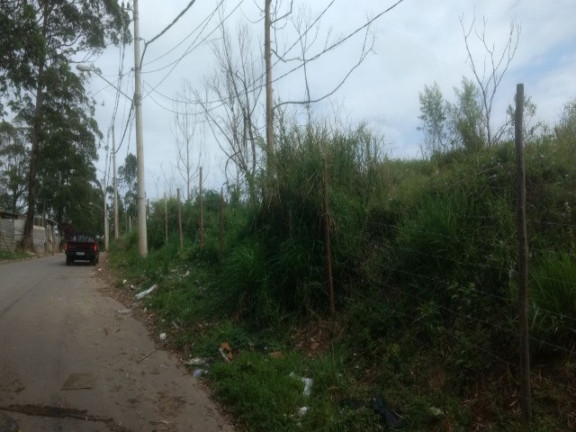Imagem Terreno à Venda, 55.000 m² em Colônia (zona Leste) - São Paulo Imagem Terreno à Venda, 55.000 m² em Colônia (zona Leste) - São Paulo
