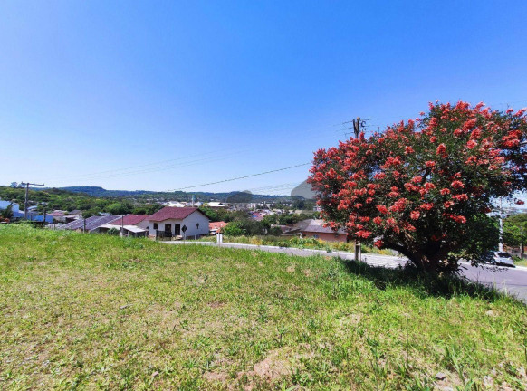 Terreno à Venda, 450 m² em Arroio Grande - Santa Cruz Do Sul