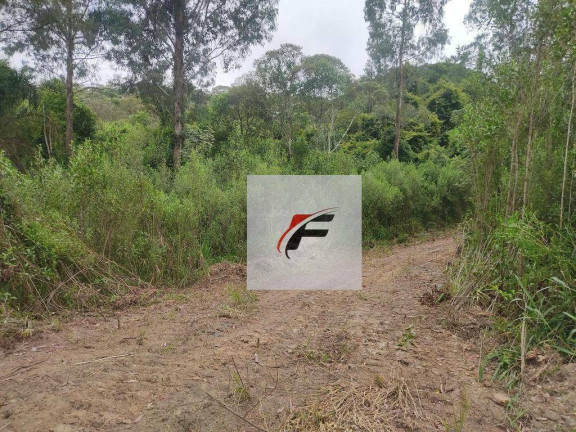 Imagem Chácara com 1 Quarto à Venda, 25.244 m² em Bacaetava - Colombo