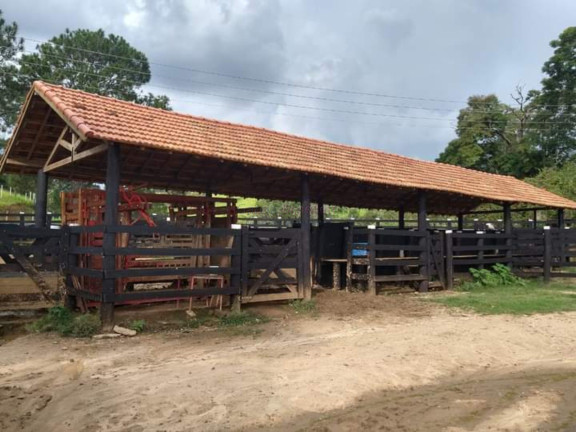 Imagem Imóvel com 15 Quartos à Venda, 2.783.000 m² em Vila Pantaleão - Caçapava Imagem Imóvel com 15 Quartos à Venda, 2.783.000 m² em Vila Pantaleão - Caçapava
