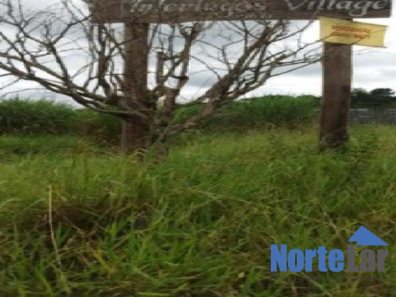 Imagem Terreno à Venda, 572 m² em Vila Machado - Mairiporã Imagem Terreno à Venda, 572 m² em Vila Machado - Mairiporã