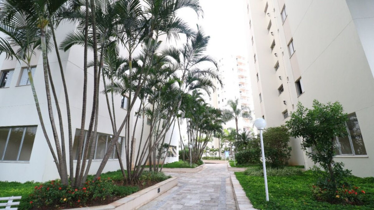 Imagem Apartamento com 1 Quarto à Venda, 47 m² em Jardim Aeroporto - São Paulo