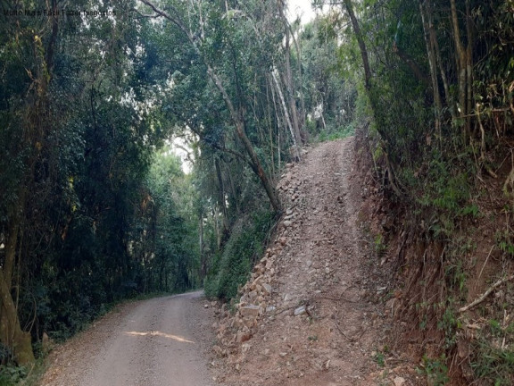 Imagem Terreno à Venda, 13.823 m² em Linha Olinda - Nova Petrópolis Imagem Terreno à Venda, 13.823 m² em Linha Olinda - Nova Petrópolis