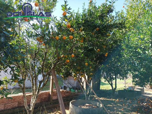 Imagem Terreno à Venda, 495 m² em Morro Grande - Viamão Imagem Terreno à Venda, 495 m² em Morro Grande - Viamão