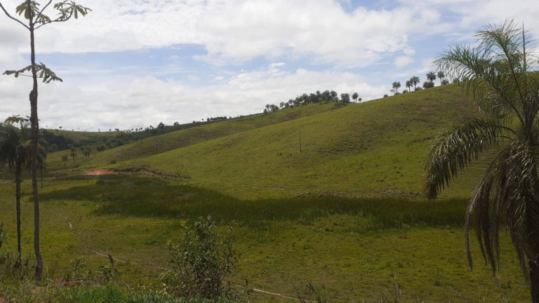 Imagem Fazenda à Venda, 1.950 m² em Centro - Córrego Danta Imagem Fazenda à Venda, 1.950 m² em Centro - Córrego Danta