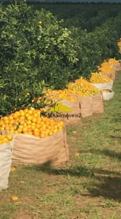 Imagem Chácara à Venda, 350 m² em Marília Imagem Chácara à Venda, 350 m² em Marília