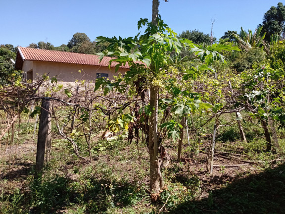 Imagem Imóvel com 2 Quartos à Venda, 2.100 m² em Bairro Roseira (rural) - Campestre Imagem Imóvel com 2 Quartos à Venda, 2.100 m² em Bairro Roseira (rural) - Campestre
