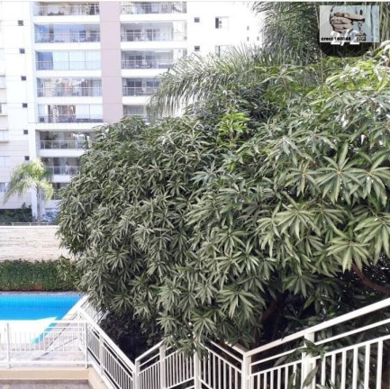 Imagem Apartamento com 3 Quartos à Venda, 104 m² em Lauzane Paulista - São Paulo