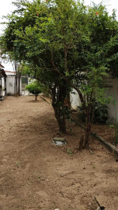 Imagem Casa com 2 Quartos à Venda, 60 m² em Janga - Paulista Imagem Casa com 2 Quartos à Venda, 60 m² em Janga - Paulista