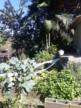 Imagem Imóvel com 3 Quartos à Venda, em Centro - São João Batista Imagem Imóvel com 3 Quartos à Venda, em Centro - São João Batista