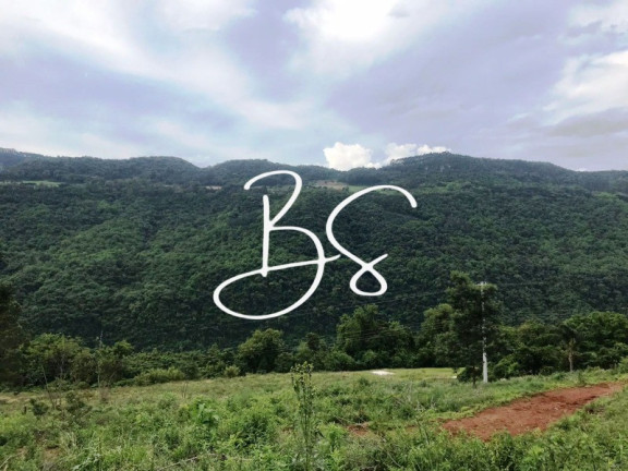 Imóvel à Venda, 30.000 m² em Linha Pirajá Baixa - Nova Petrópolis