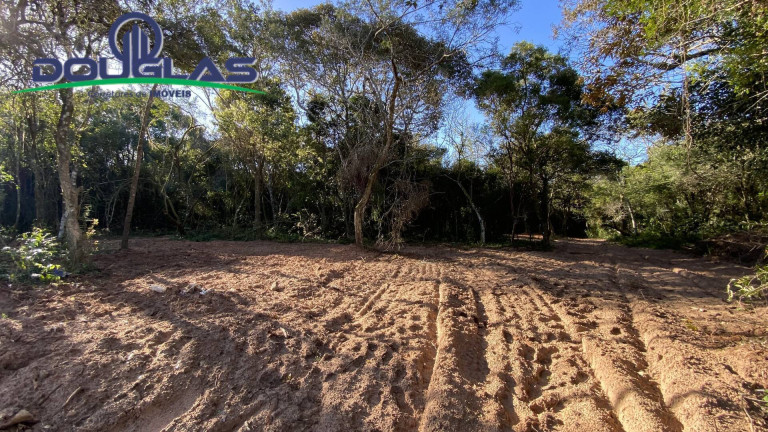 Imagem Terreno à Venda, em águas Claras - Viamão Imagem Terreno à Venda, em águas Claras - Viamão
