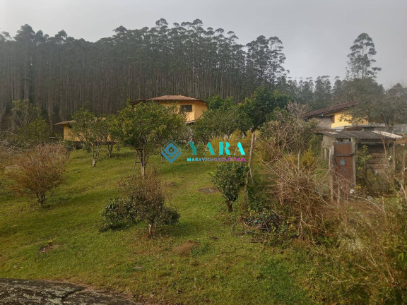 Imagem Chácara com 10 Quartos à Venda, 20.000 m² em Horto Florestal - Ubatuba