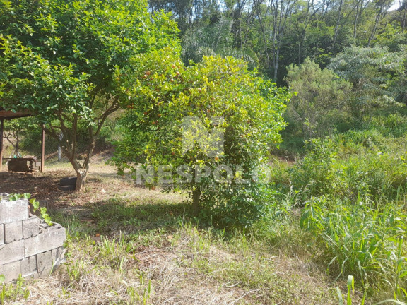 Imagem Fazenda à Venda, 130 m² em Interior - Chapeco