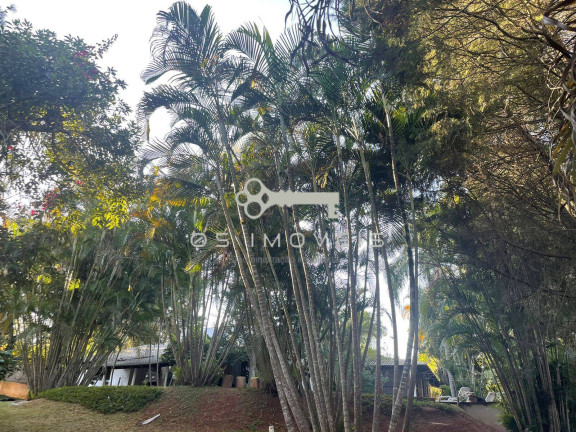 Imagem Casa com 4 Quartos à Venda, 370 m² em Jardim Do Golf I - Jandira Imagem Casa com 4 Quartos à Venda, 370 m² em Jardim Do Golf I - Jandira