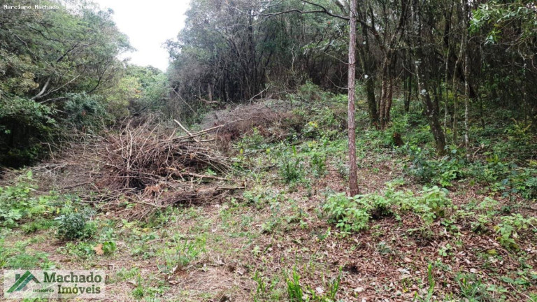 Imagem Terreno à Venda, 20.000 m² em Rural - Itaara Imagem Terreno à Venda, 20.000 m² em Rural - Itaara