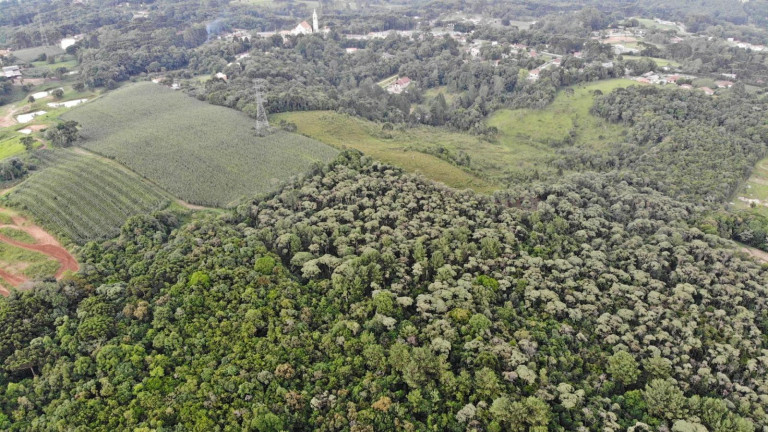 Imagem Terreno à Venda, 19.600 m² em Colônia Faria - Colombo Imagem Terreno à Venda, 19.600 m² em Colônia Faria - Colombo