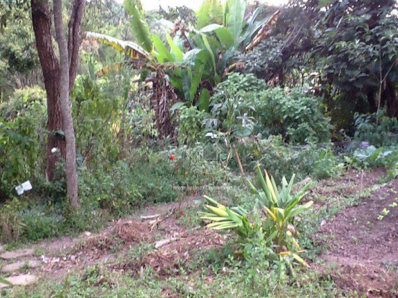 Imagem Fazenda à Venda ou Locação, 300 m² em Aranha - Brumadinho Imagem Fazenda à Venda ou Locação, 300 m² em Aranha - Brumadinho