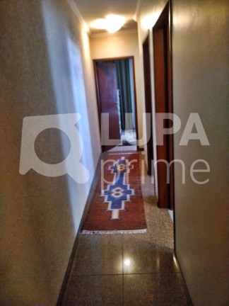 Imagem Casa com 3 Quartos à Venda, 142 m² em Vila Maria - São Paulo Imagem Casa com 3 Quartos à Venda, 142 m² em Vila Maria - São Paulo