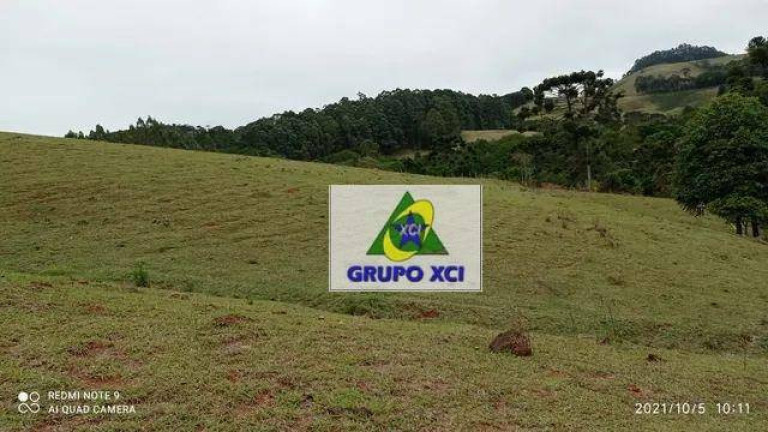 Imagem Terreno à Venda, 266.200 m² em Dos Limas - Joanópolis Imagem Terreno à Venda, 266.200 m² em Dos Limas - Joanópolis