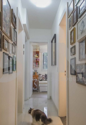 Imagem Apartamento com 3 Quartos à Venda, 68 m² em Jardim Carvalho - Porto Alegre