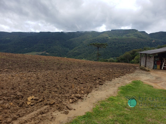 Imagem Imóvel com 1 Quarto à Venda, 60.000 m² em Zona Rural - Alfredo Wagner