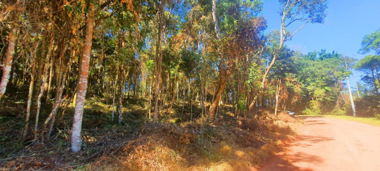 Imagem Imóvel à Venda, 700 m² em Recanto Dos Palmares - Atibaia Imagem Imóvel à Venda, 700 m² em Recanto Dos Palmares - Atibaia
