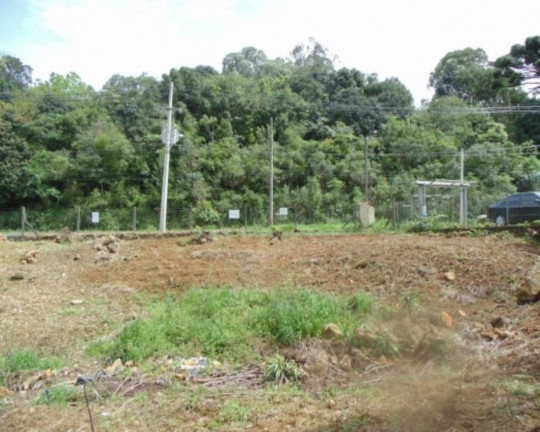 Imagem Terreno à Venda, 875 m² em Varzea Grande - Gramado