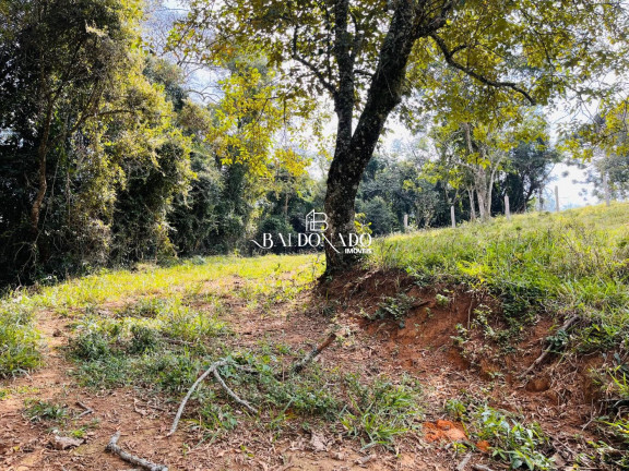 Imagem Terreno à Venda, 8.000 m² em Centro - Toledo Imagem Terreno à Venda, 8.000 m² em Centro - Toledo
