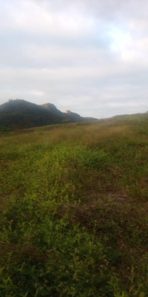 Imagem Imóvel com 3 Quartos à Venda, 47.000 m² em Centro - Campo Largo