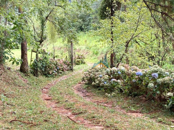 Imagem Imóvel com 6 Quartos à Venda, 544.500 m² em São Geraldo - Nova Friburgo