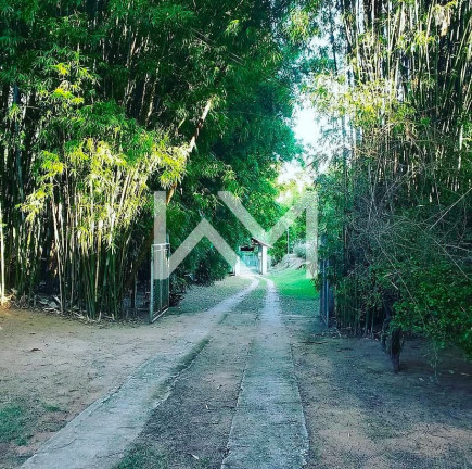 Imagem Fazenda à Venda, 20.000 m² em Loteamento Colinas Verdes - Atibaia Imagem Fazenda à Venda, 20.000 m² em Loteamento Colinas Verdes - Atibaia