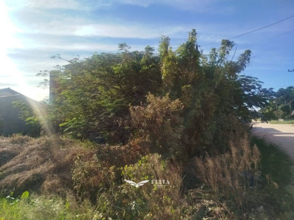 Imagem Sobrado com 2 Quartos à Venda, 205 m² em Quinta Dos Açorianos - Barra Velha Imagem Sobrado com 2 Quartos à Venda, 205 m² em Quinta Dos Açorianos - Barra Velha