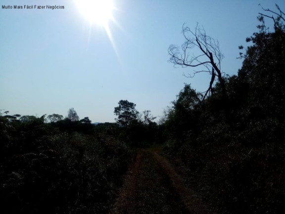 Imagem Terreno à Venda, 20 m² em Linha Temerária - Nova Petrópolis Imagem Terreno à Venda, 20 m² em Linha Temerária - Nova Petrópolis