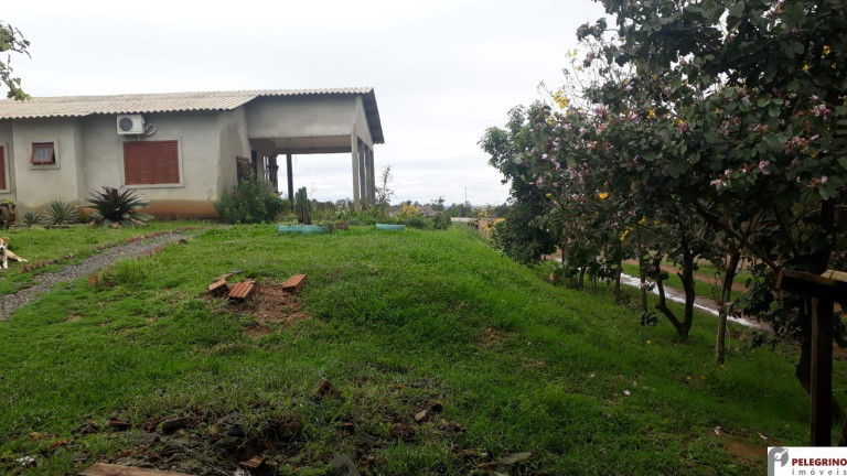 Imagem Imóvel com 2 Quartos à Venda, 95 m² em Zona Rural - Sentinela Do Sul Imagem Imóvel com 2 Quartos à Venda, 95 m² em Zona Rural - Sentinela Do Sul