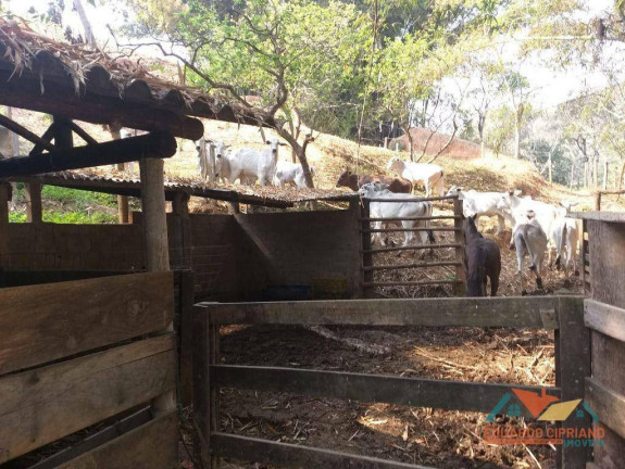 Imagem Fazenda à Venda, 1 m² em Rio Claro - Paraibuna Imagem Fazenda à Venda, 1 m² em Rio Claro - Paraibuna