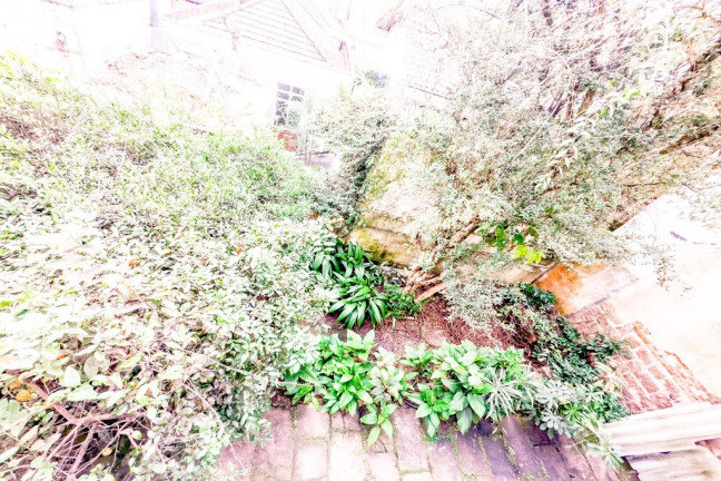 Imagem Casa com 3 Quartos à Venda, 240 m² em Petrópolis - Porto Alegre