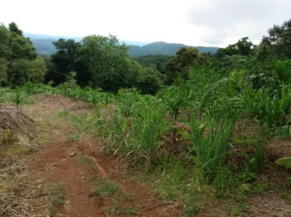Imagem Fazenda à Venda, 33 m² em Centro - Morretes Imagem Fazenda à Venda, 33 m² em Centro - Morretes
