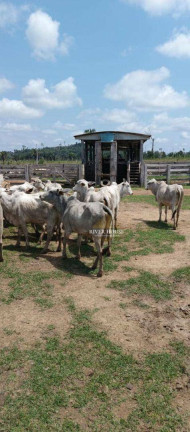 Imagem Fazenda à Venda, 6.872.800 m² em Centro - Colniza Imagem Fazenda à Venda, 6.872.800 m² em Centro - Colniza