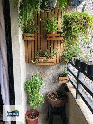 Imagem Apartamento com 2 Quartos à Venda, 49 m² em Jardim ísis - Cotia Imagem Apartamento com 2 Quartos à Venda, 49 m² em Jardim ísis - Cotia